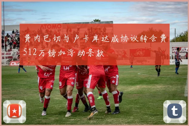 费内巴切与卢卡库达成协议转会费512万镑加浮动条款