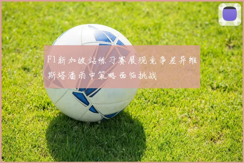 F1新加坡站练习赛展现竞争差异维斯塔潘雨中策略面临挑战